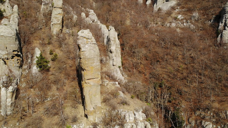 Similar image 22502884