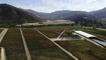 Similar image 22502900