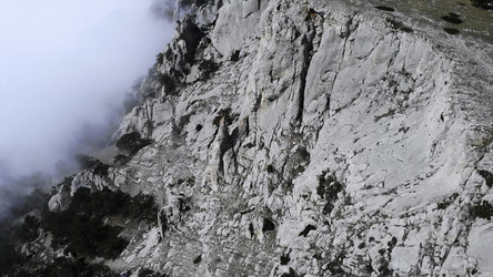 Similar image 22503035