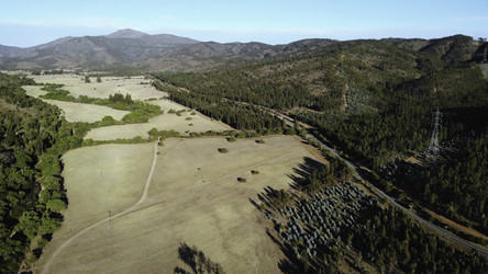 Similar image 22503110