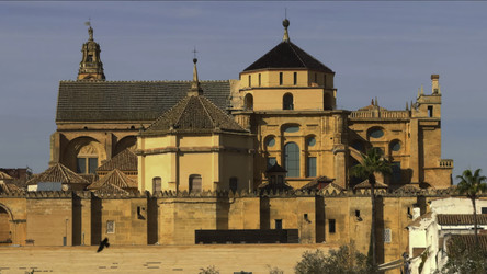 Similar image 22503139