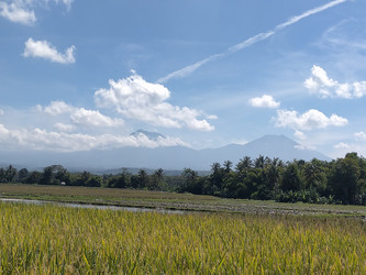 Similar image 22532964