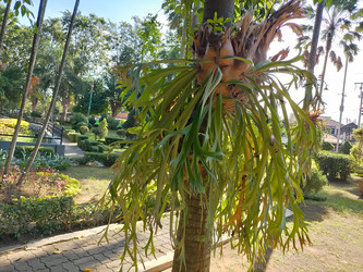 Similar image 22533032