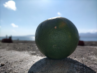 Similar image 22533056