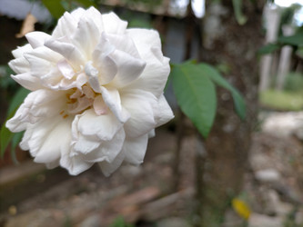 Similar image 22533077