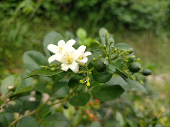 Similar image 22533078