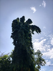 Similar image 22533102