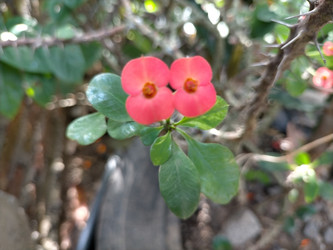 Similar image 22533121