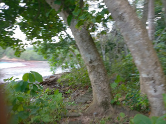 Similar image 22533190