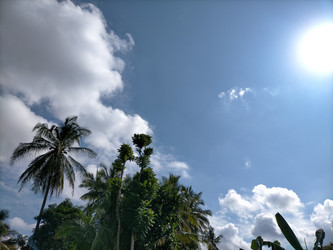 Similar image 22533246