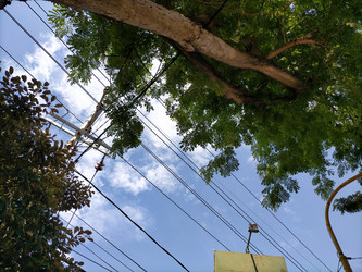 Similar image 22535680