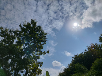 Similar image 22535695