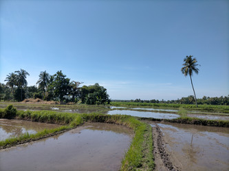 Similar image 22535724