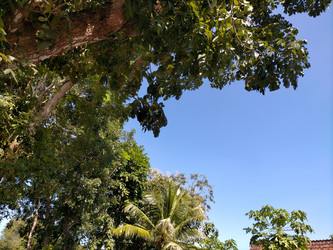 Similar image 22535755