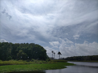 Similar image 22535771