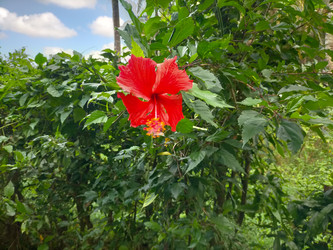 Similar image 22535786