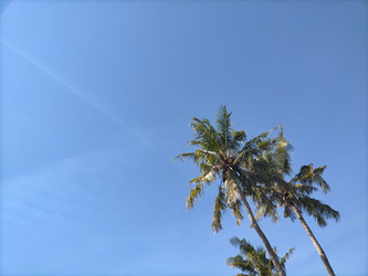 Similar image 22535787