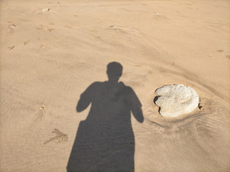 Similar image 22535800