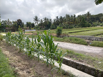 Similar image 22535817