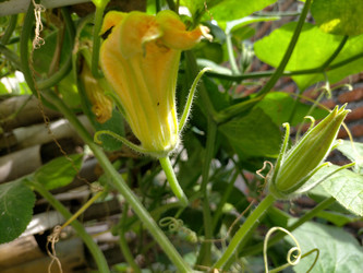 Similar image 22535830