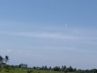 Similar image 22535861