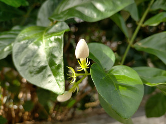 Similar image 22535890