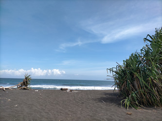 Similar image 22535905