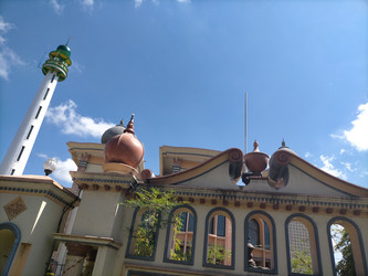 Similar image 22535921