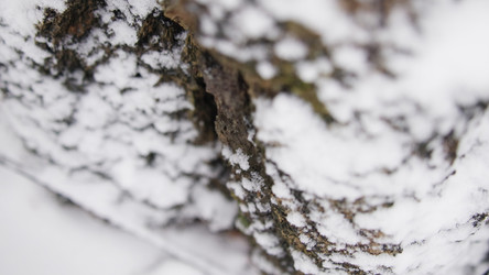 Similar image 22503347