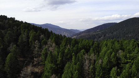 Similar image 22503348