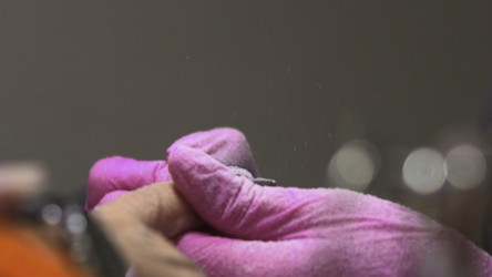 Similar image 22503454