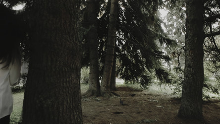 Similar image 22503483