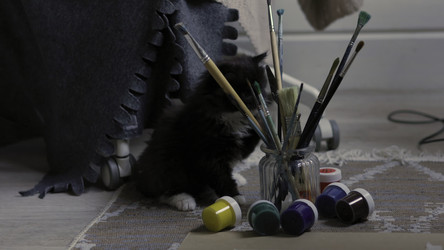 Similar image 22503485