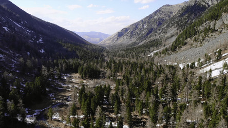 Similar image 22503499