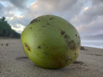 Similar image 22536325