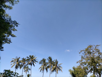 Similar image 22536342