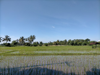 Similar image 22536356