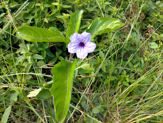 Similar image 22536357