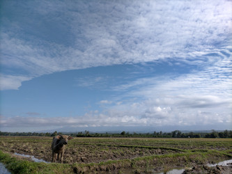 Similar image 22536400