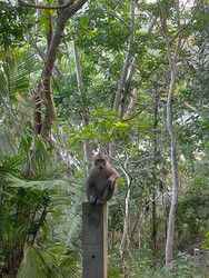 Similar image 22536401