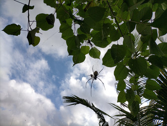 Similar image 22536416