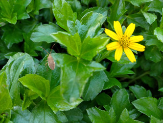 Similar image 22536430