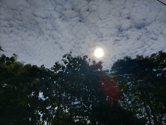 Similar image 22536448