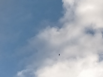 Similar image 22536460