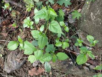 Similar image 22536461