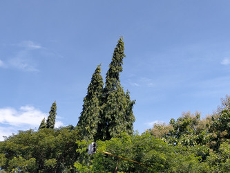 Similar image 22536490