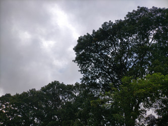 Similar image 22536550