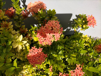 Similar image 22536565