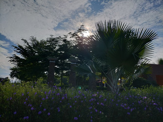 Similar image 22536566