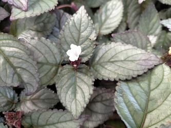 Similar image 22536580